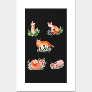 Playful Cute Foxes Posters and Art